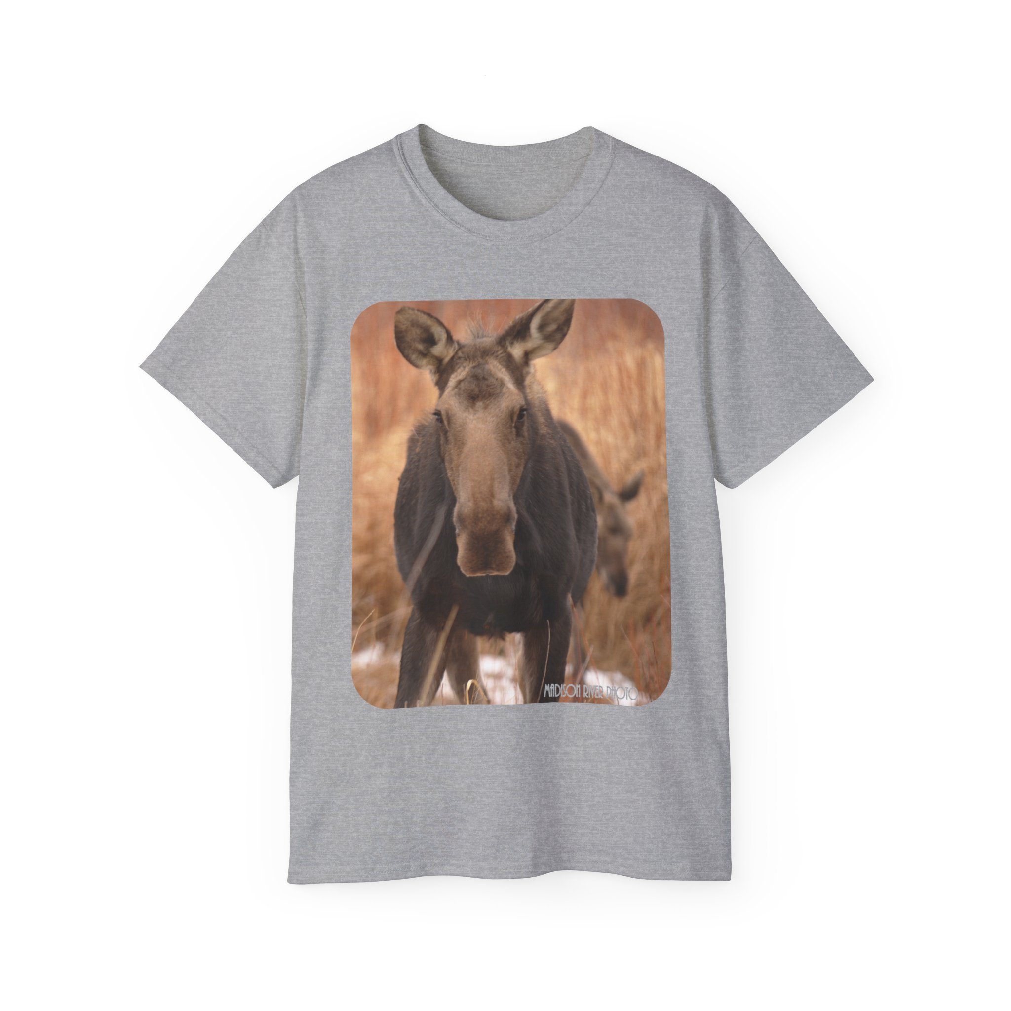 Momma Moose Ultra Cotton Tee