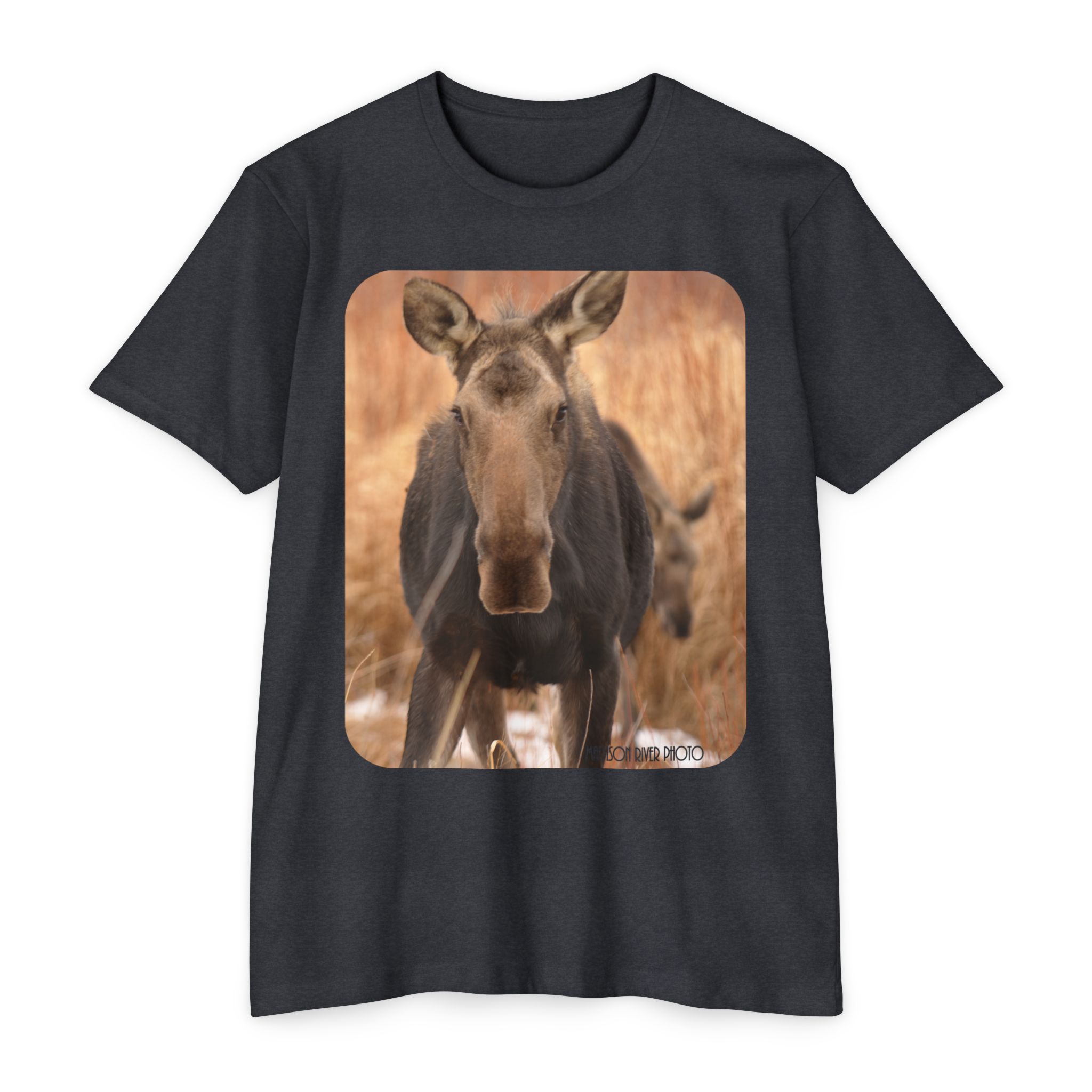 Momma Moose (Super Soft T) Unisex CVC Jersey T-shirt